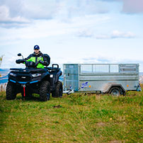 Ifor Williams Q Range Trailers