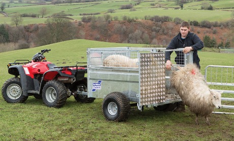 Ifor Williams Q Range Unbraked Trailer