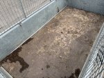 IMG_3159.jpeg